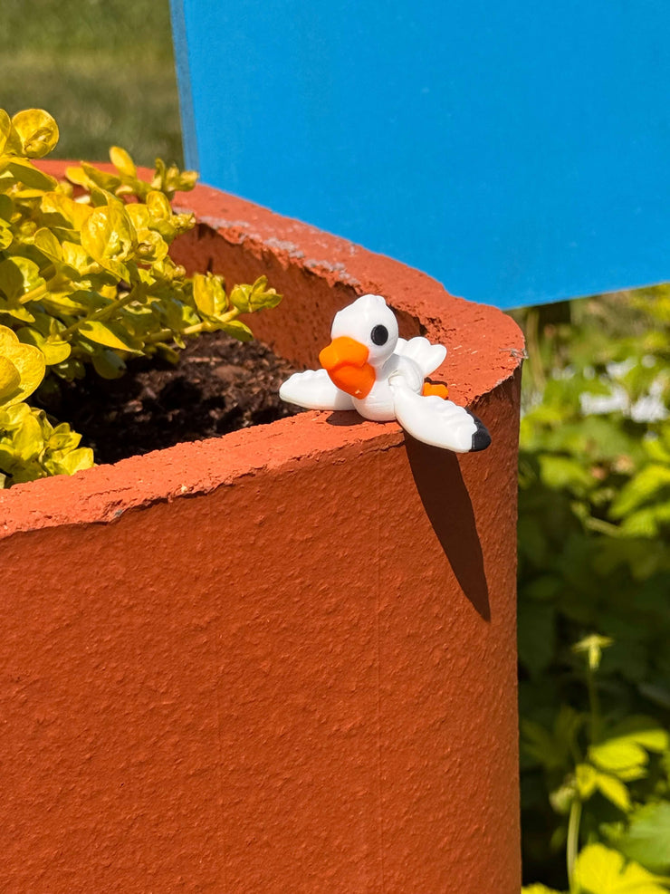🧡 Percy 🧡