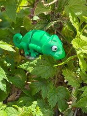 🦎 Charlie 🦎