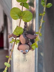 🐒 Milo 🐒