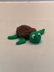 🐢 Shelldon