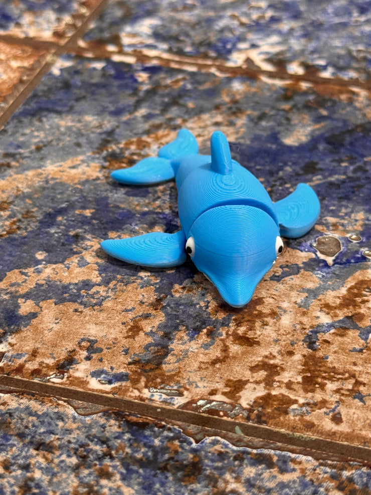 🐬 Finn 🐬