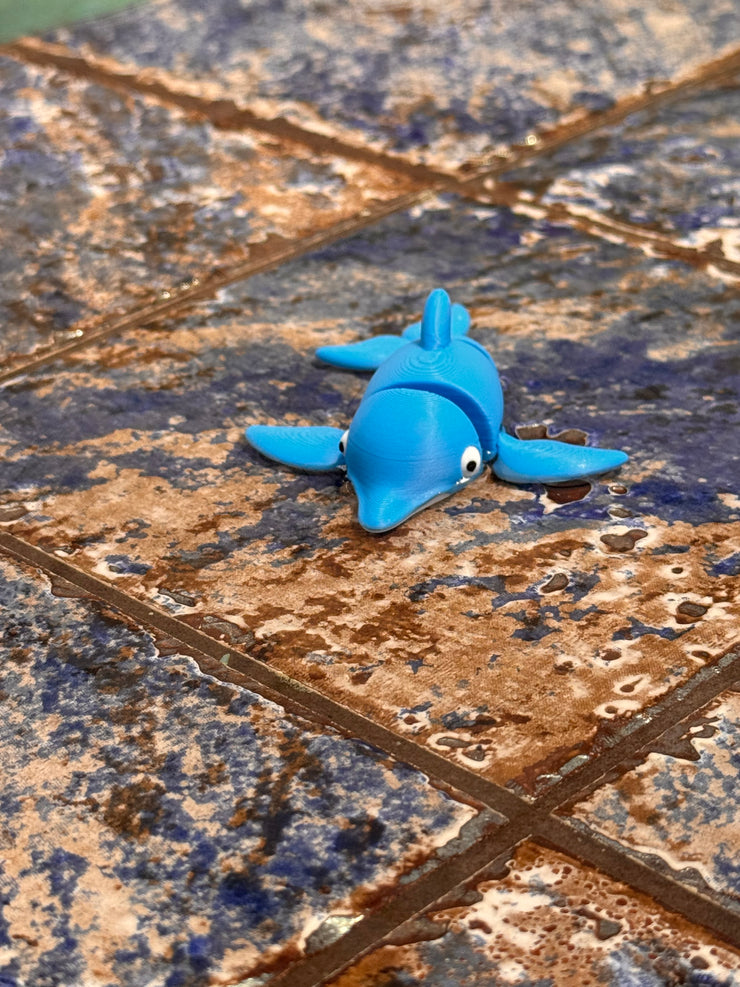 🐬 Finn 🐬