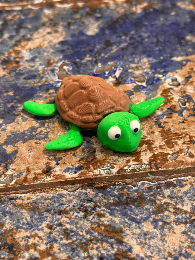 🐢 Shelldon