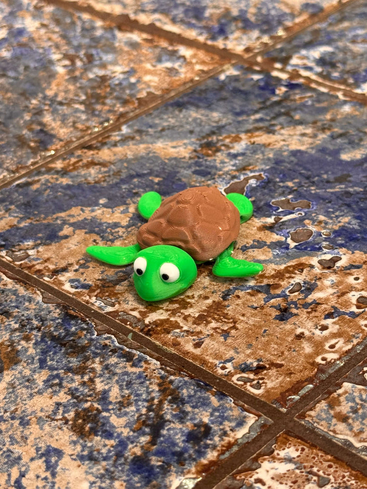 🐢 Shelldon