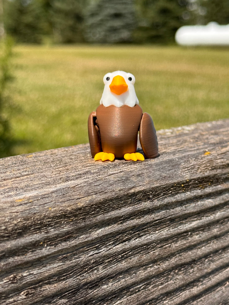 🦅 Abe  🦅