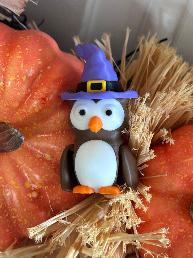 🦉 Hootsie 🦉