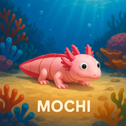 🌊 Mochi 🌊